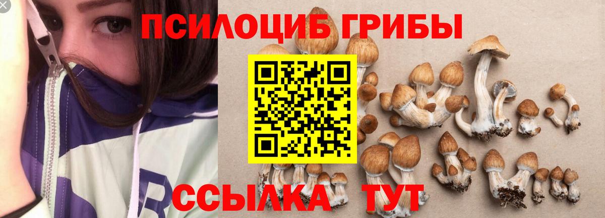 Псилоцибиновые грибы Cubensis Сызрань